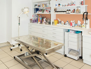 Behandlungszimmer Kleintierpraxis Dr. Obermüller